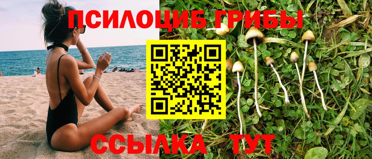 Галлюциногенные грибы мицелий  Вход с VPN  Псилоцибиновые грибы Psilocybe  Феодосия 