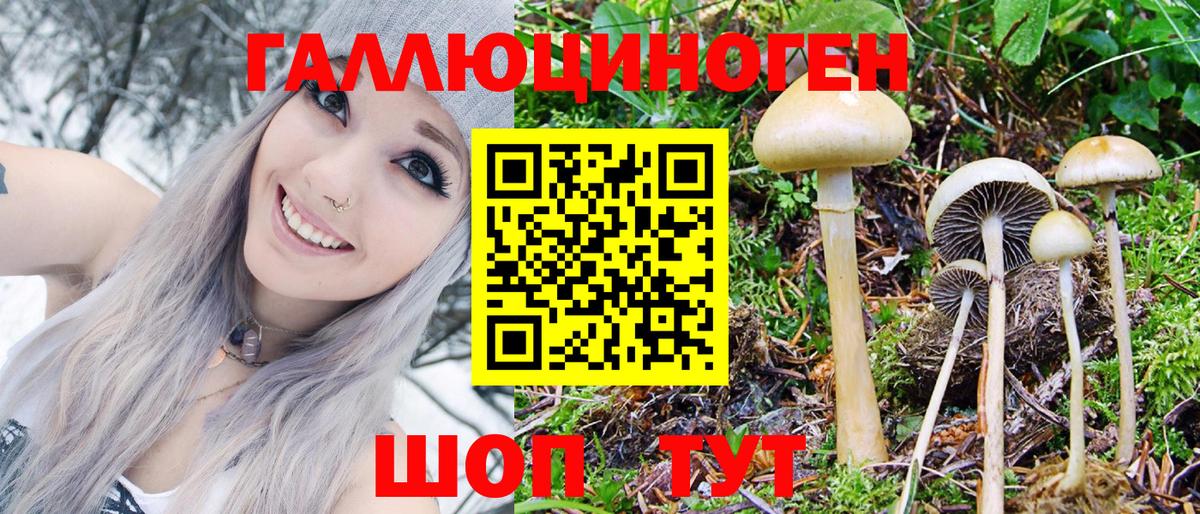 Галлюциногенные грибы Cubensis Феодосия
